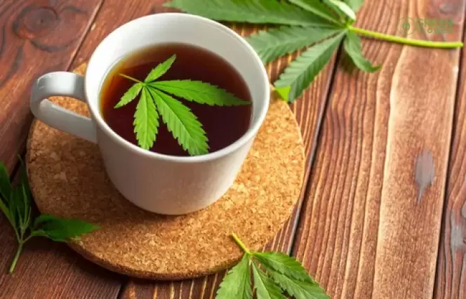 The Science Behind Cannabinoids: Exploring the Health Benefits